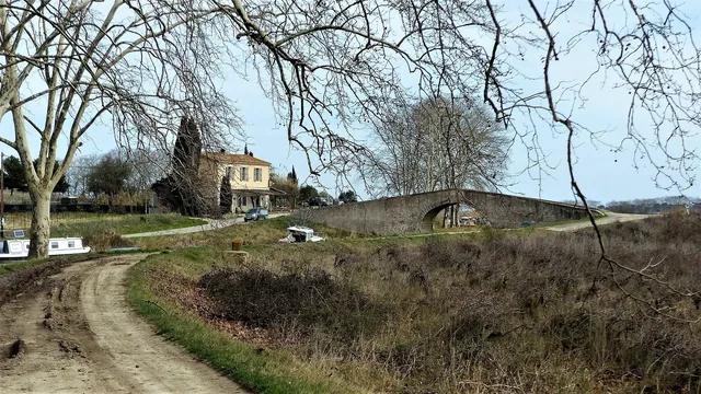 image8