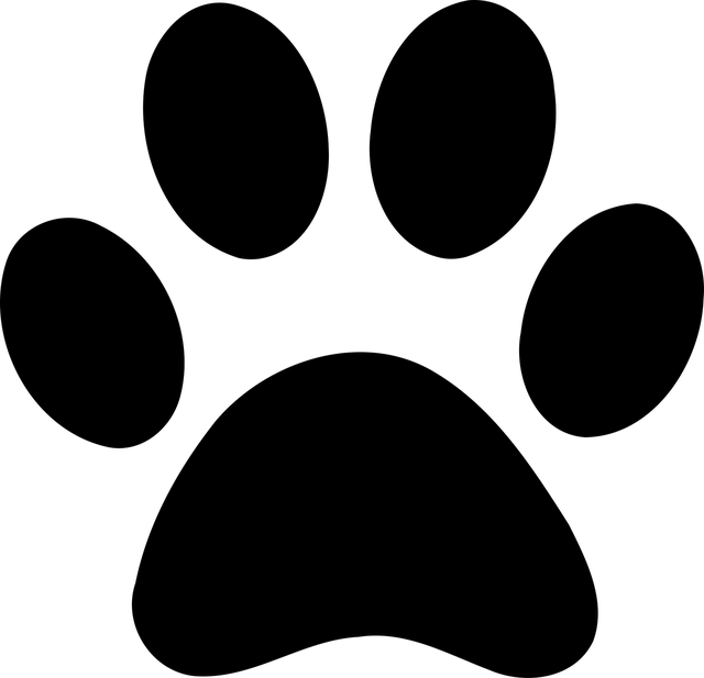 B2419324-40EC-4ADA-83E6-C7B9DA371233